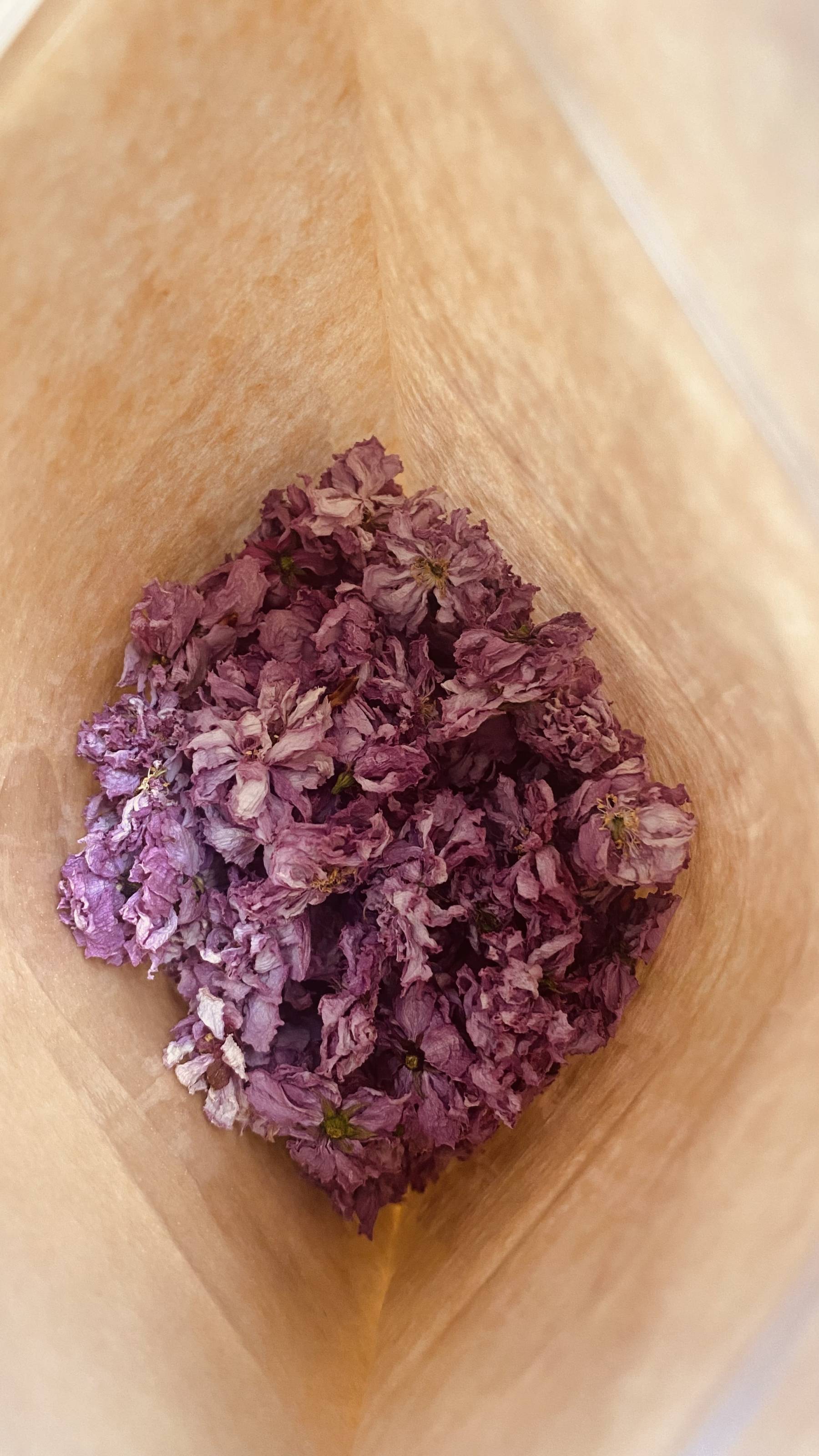 Fleurs séchées de Cerisier-fleur