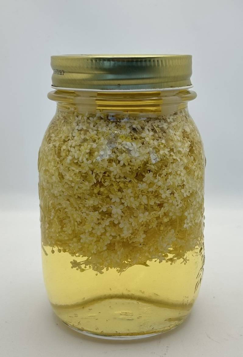 Vinaigre Infusée de fleurs de sureau