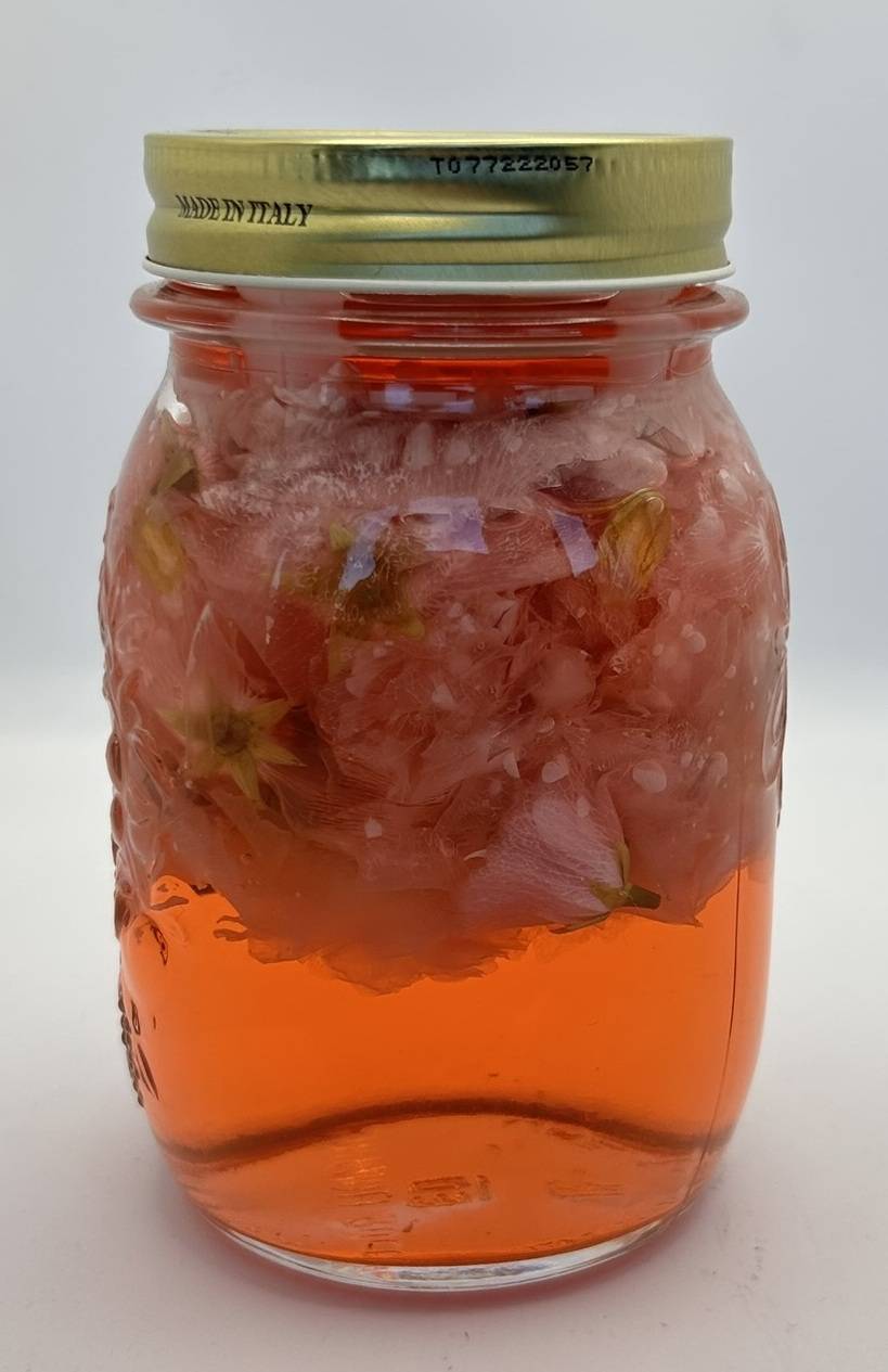 Vinaigre Infusée de fleurs de cerisier-fleur