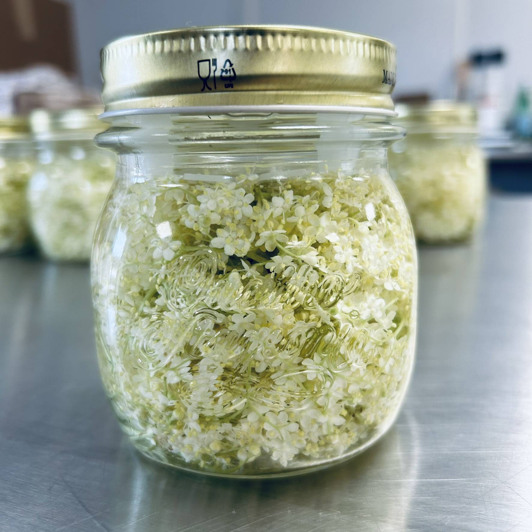 Fleurs en saumure de sureau