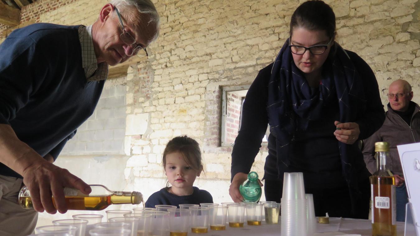 La fleur de sureau fait sensation, à Housset